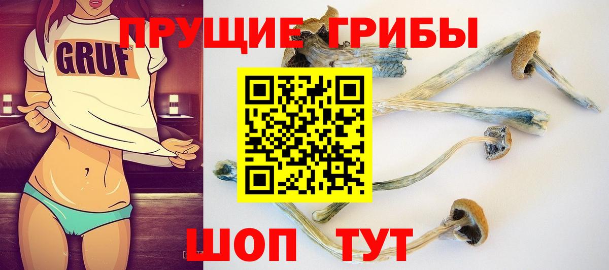 Псилоцибиновые грибы мухоморы Аргун